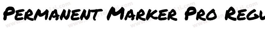 Permanent Marker Pro Regula字体转换